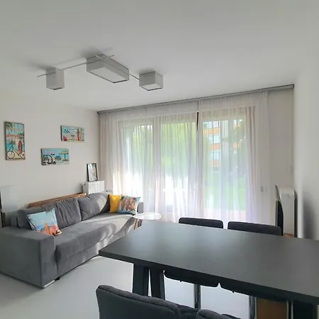 Apartment Silver Delux *